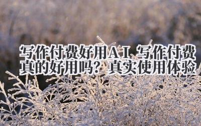 写作付费好用 AI 写作付费真的好用吗？真实使用体验