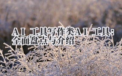 AI 工具 写作类 AI 工具：全面盘点与介绍